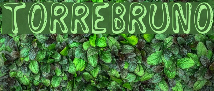 Torrebruno Font examples