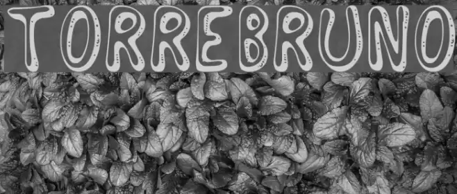 Torrebruno Font examples