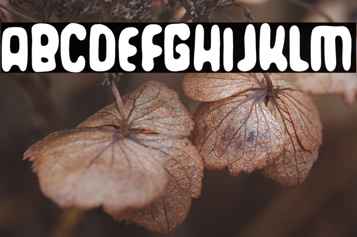 Torrezno's World Example 3