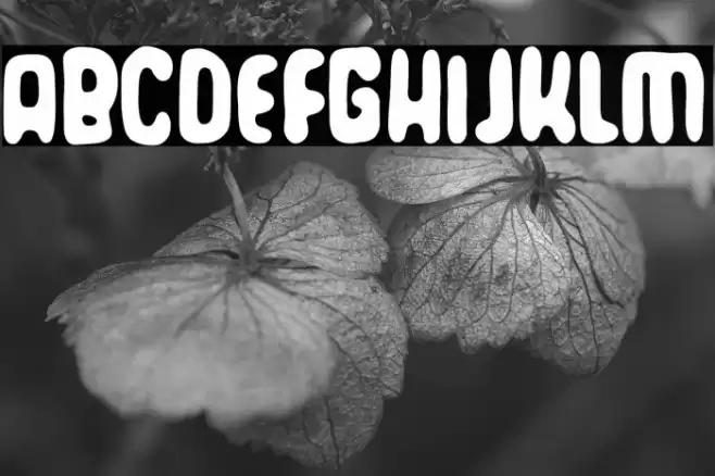 Torrezno's World Font examples