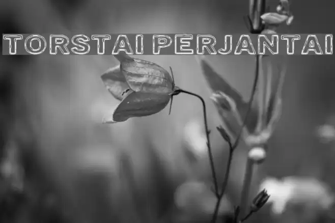 Torstai perjantai Font examples