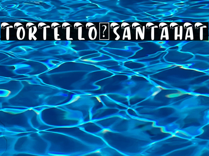 Tortello-SantaHat Example 1