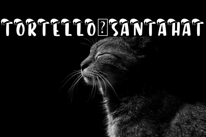 Tortello-SantaHat Example 2