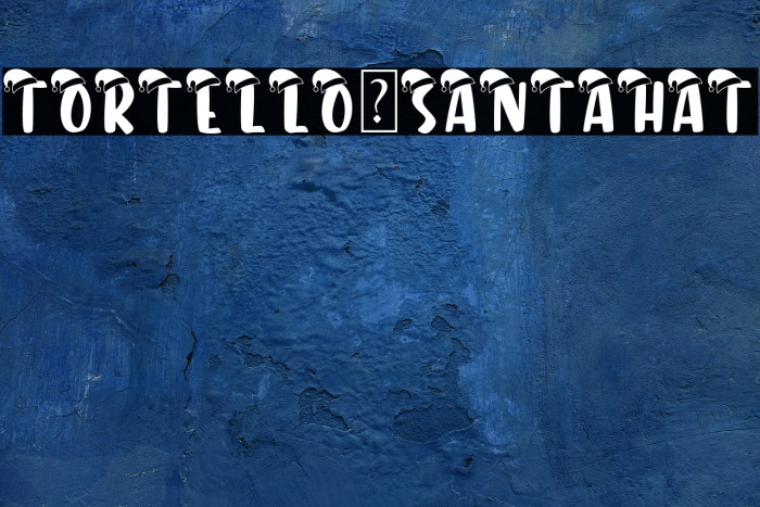 Tortello-SantaHat Example 3