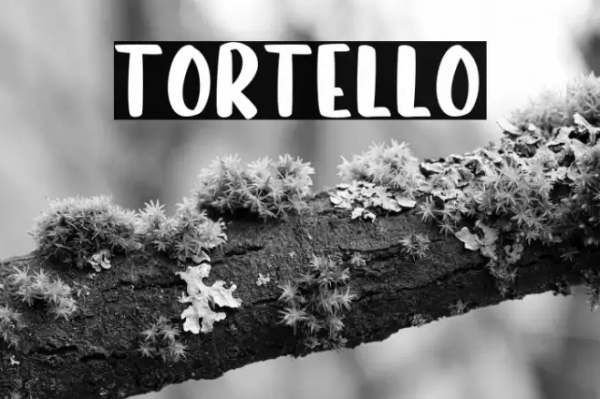 Tortello Font examples