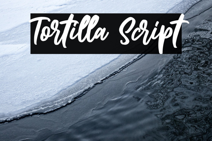Tortilla Script Example 1