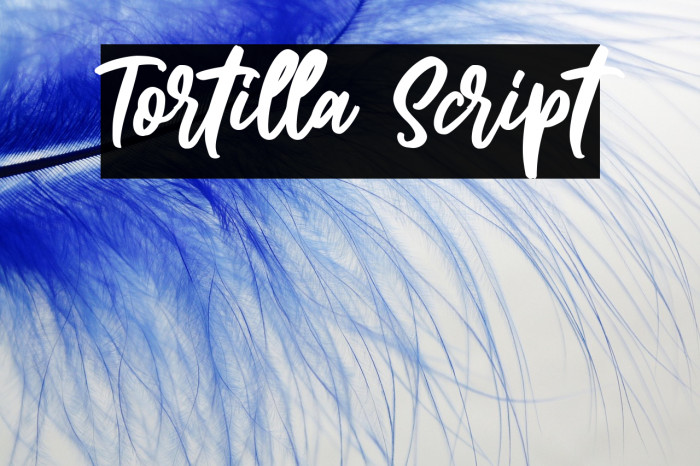 Tortilla Script Example 2