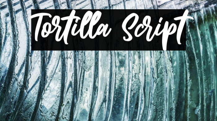 Tortilla Script Example 3