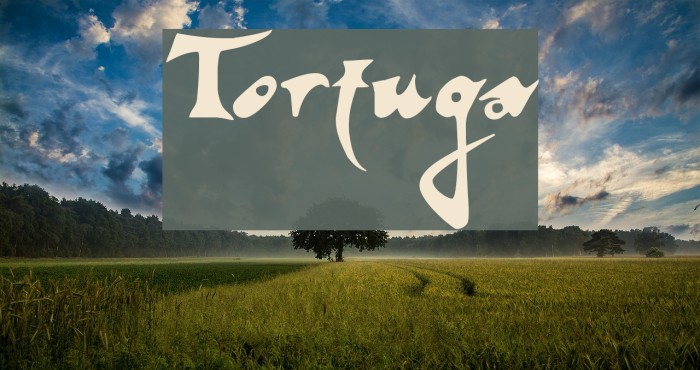 Tortuga Font examples
