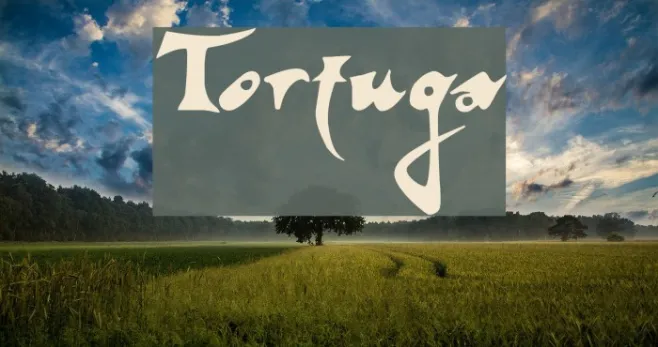 Tortuga Example 1