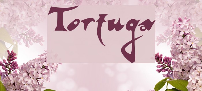 Tortuga Font examples