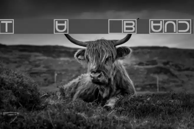 Torturer Bound Font examples