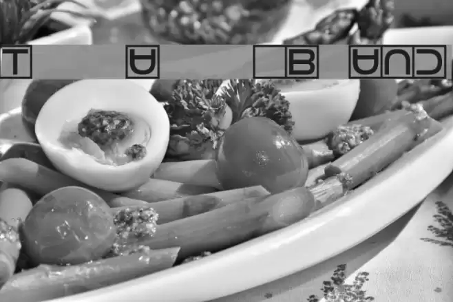 Torturer Bound Font examples