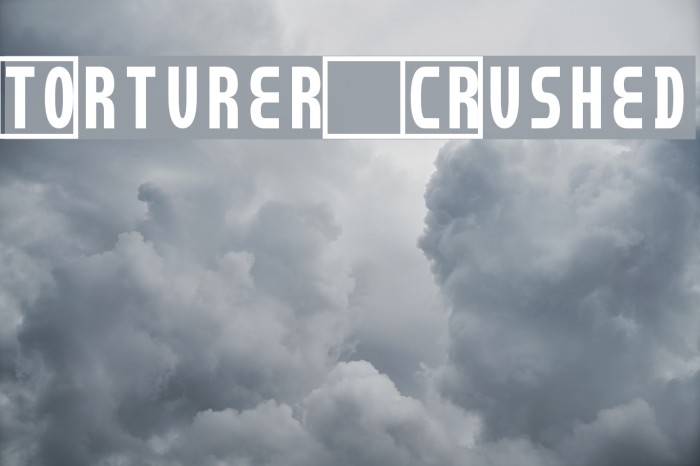 Torturer Crushed Font examples