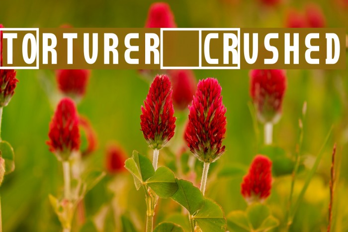 Torturer Crushed Font examples