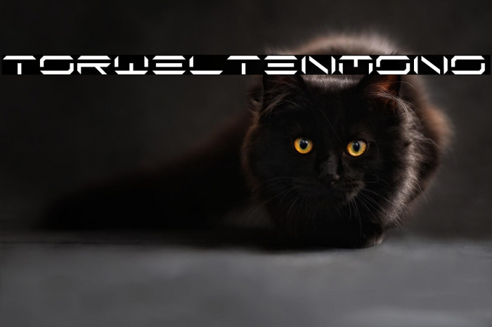 TorweltenMono Example 2