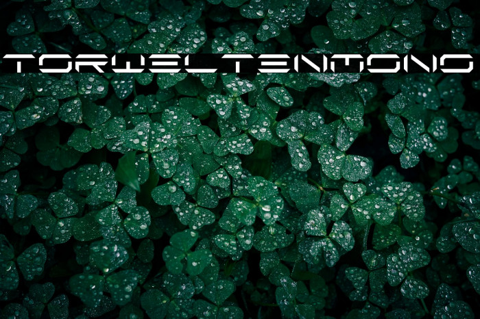 TorweltenMono Example 3