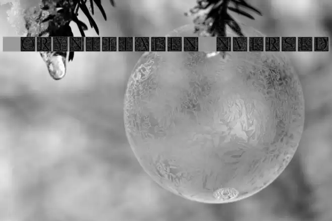 TorynitialenInversed フォント examples