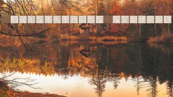 TorynitialenInversed Font examples