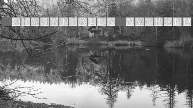 TorynitialenInversed フォント examples