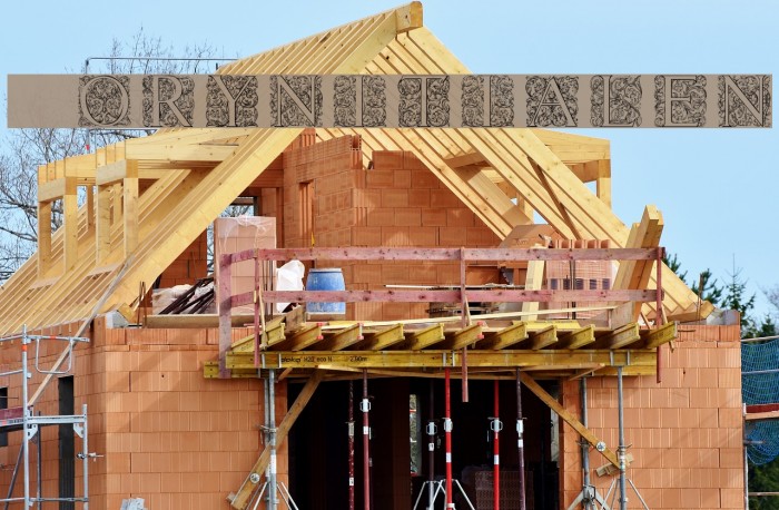 Torynitialen Example 1