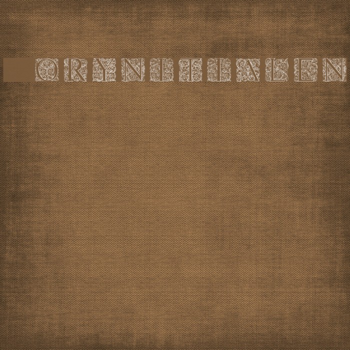 Torynitialen Example 3