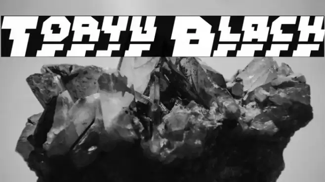 Toryu Black Fonte examples