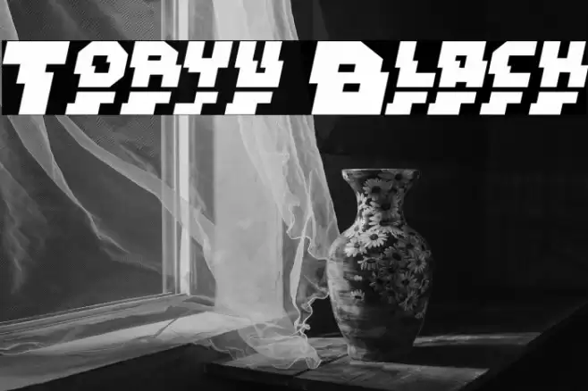 Toryu Black Fonte examples