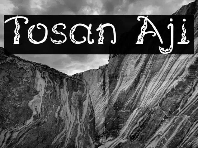 Tosan Aji Font examples