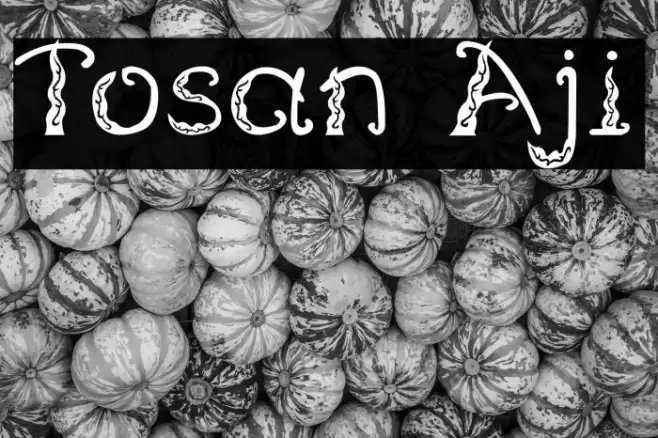 Tosan Aji Font examples
