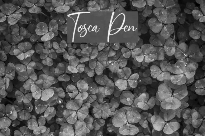 Tosca Pen Font examples