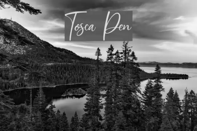Tosca Pen Font examples