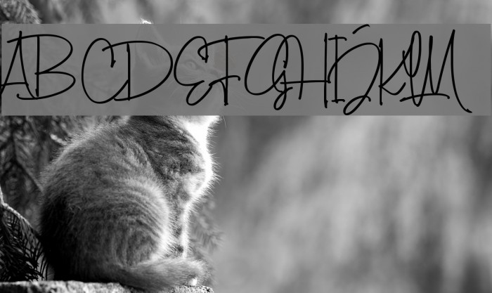 ToscaBeautyDemo Example 3