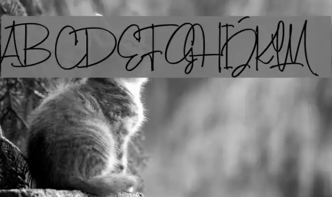 ToscaBeautyDemo Font examples