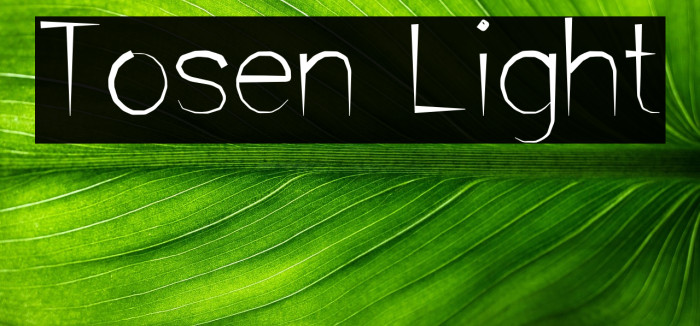 Tosen Light Example 1