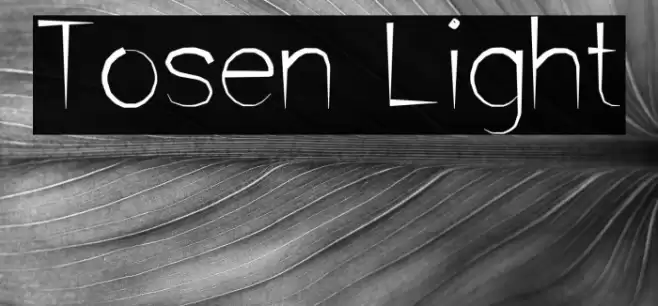Tosen Light Шрифта examples