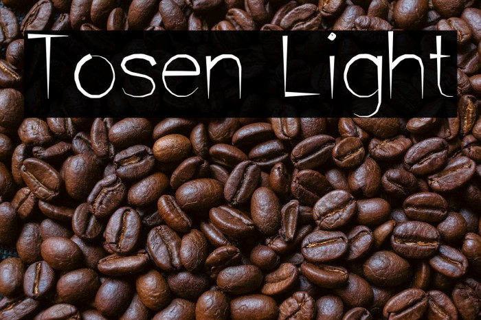 Tosen Light Example 2