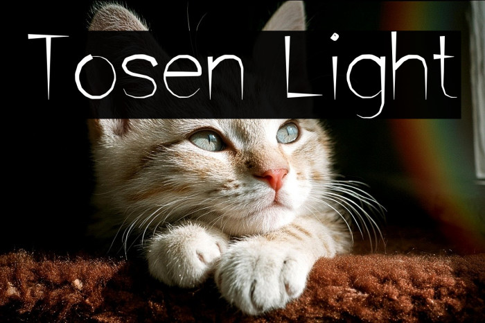 Tosen Light Example 3