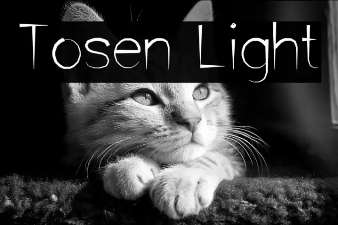 Tosen Light Шрифта examples