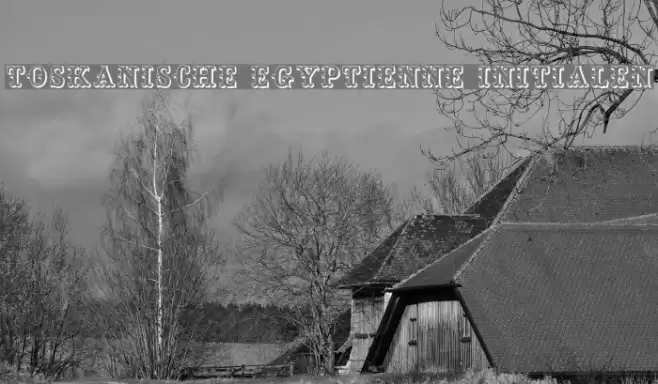 Toskanische Egyptienne Initialen Font examples