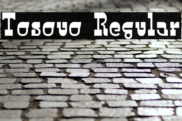 Tosouo Regular Example 1