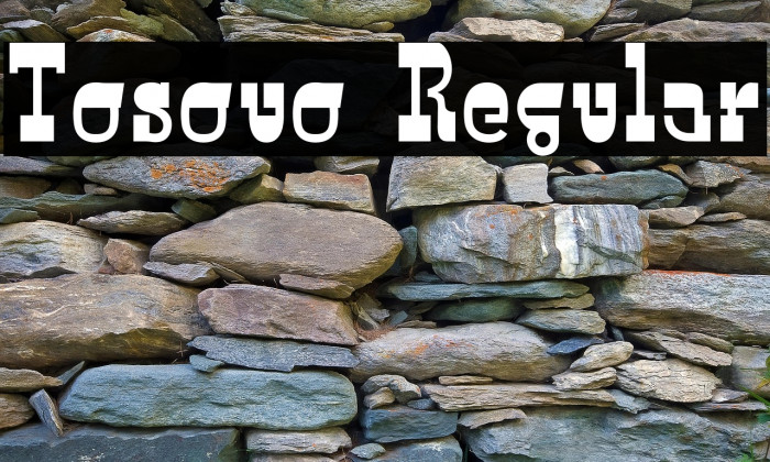 Tosouo Regular Example 2