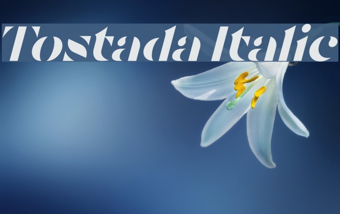 Tostada Italic Caratteri examples