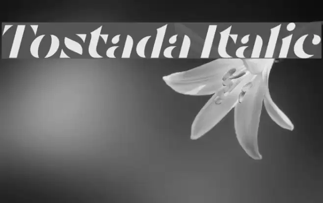 Tostada Italic Font examples