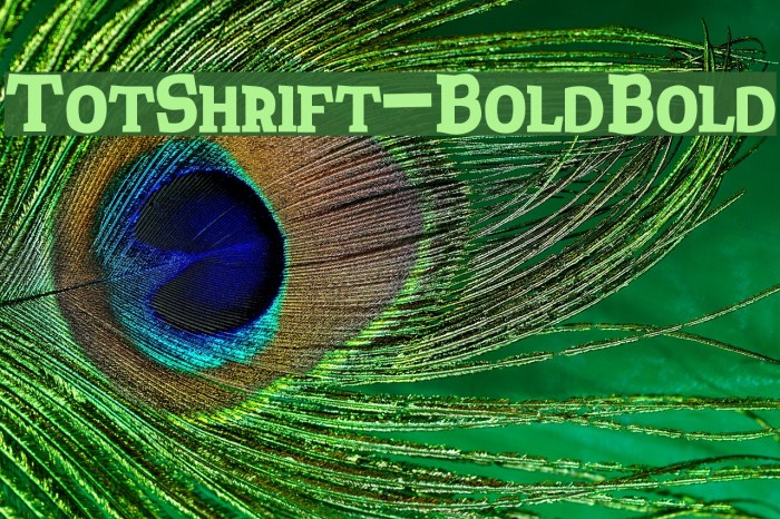 TotShrift-BoldBold Font examples