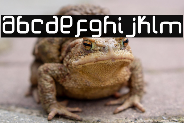 Total Millenial Example 3