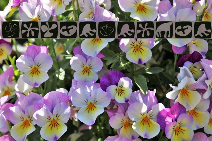 TotalFloral Polices examples