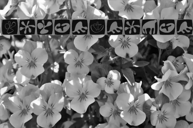 TotalFloral Font examples