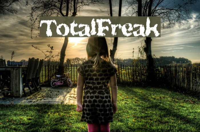 TotalFreak Font examples