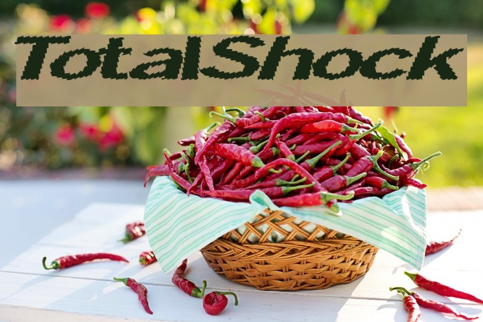 TotalShock Example 1